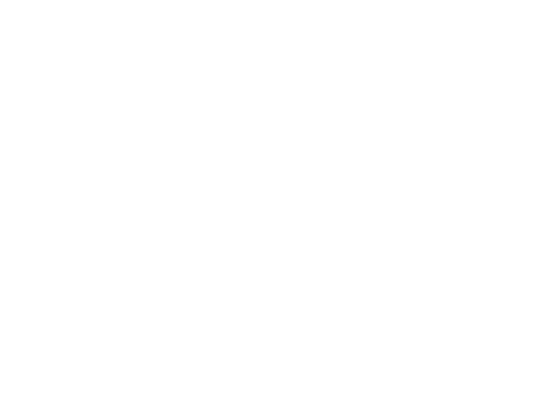 Member of the ALINK - ARGERICH FOUNDATION